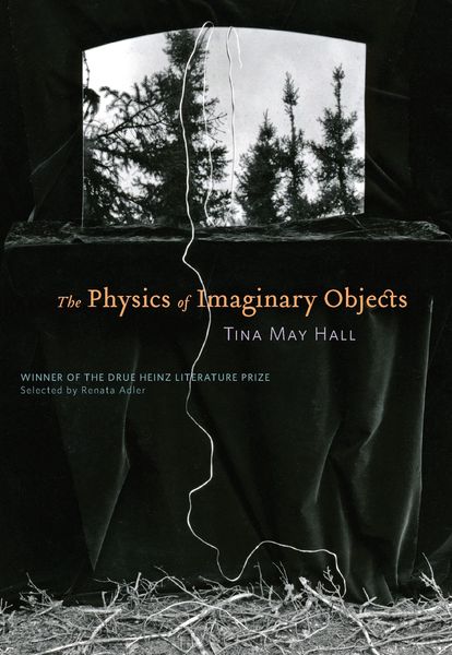 Produktbild: The Physics of Imaginary Objects