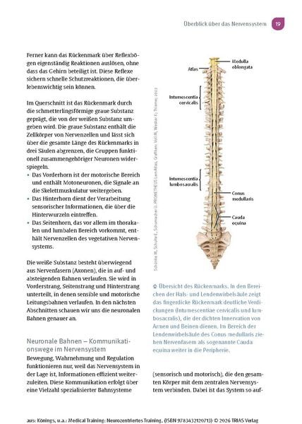 Produktbild: Medical Training: Neurozentriertes Training
