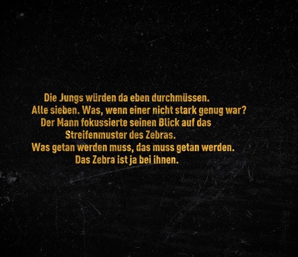 Produktbild: Im Auge des Zebras