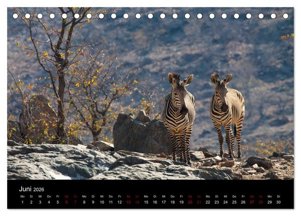 Produktbild: Afrika - Faszination Tierwelt (Tischkalender 2026 DIN A5 quer), CALVENDO Monatskalender