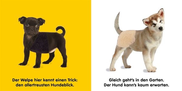 Produktbild: Mein F&uuml;hlbilderbuch. Hunde