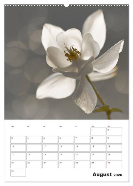 Produktbild: Farbiger Bl&uuml;tentraum (Wandkalender 2026 DIN A2 hoch), CALVENDO Monatskalender