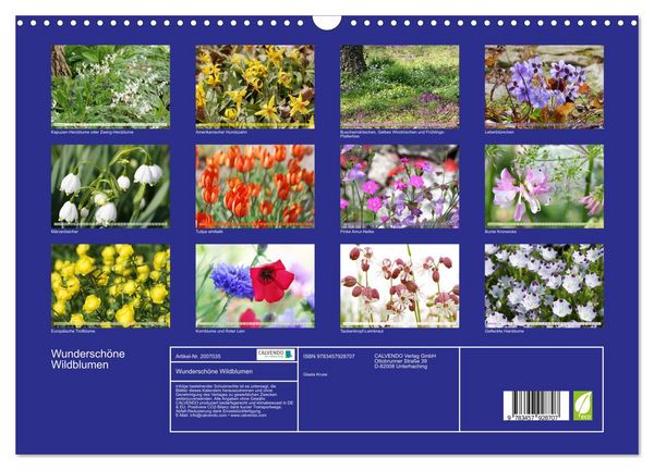 Produktbild: Wundersch&ouml;ne Wildblumen (Wandkalender 2026 DIN A3 quer), CALVENDO Monatskalender