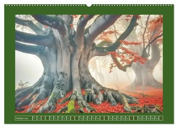 Produktbild: Die Zeitreisenden des Waldes (Wandkalender 2026 DIN A2 quer), CALVENDO Monatskalender