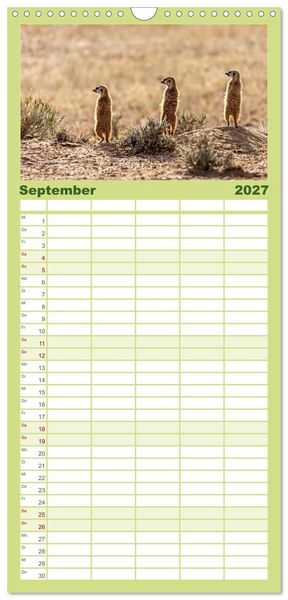 Produktbild: Familienplaner 2027 - Afrikas Tierwelt - Erdm&auml;nnchen mit 5 Spalten (Wandkalender, 21 x 45 cm) CALVENDO