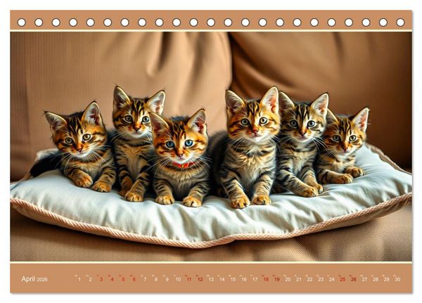 Produktbild: Maine Coon - Intelligent und verspielt (Tischkalender 2026 DIN A5 quer), CALVENDO Monatskalender