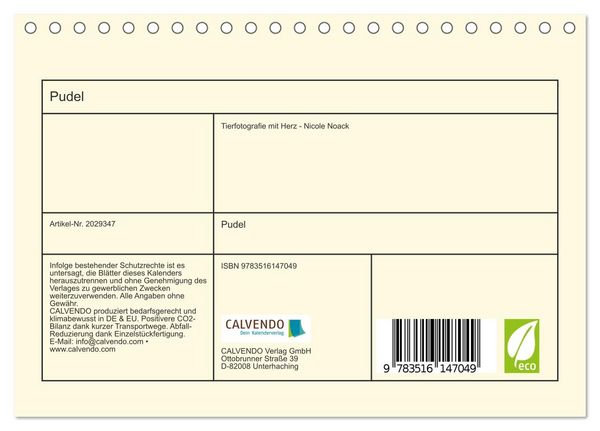 Produktbild: Pudel (Tischkalender 2026 DIN A5 quer), CALVENDO Monatskalender