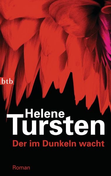 Produktbild: Der im Dunkeln wacht / Kriminalinspektorin Irene Huss Band 9