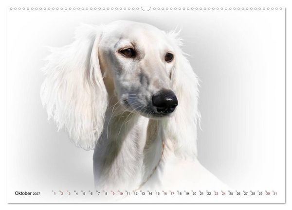 Produktbild: Windhund Portrait 2027 White Edition (Wandkalender 2027 DIN A2 quer), CALVENDO Monatskalender