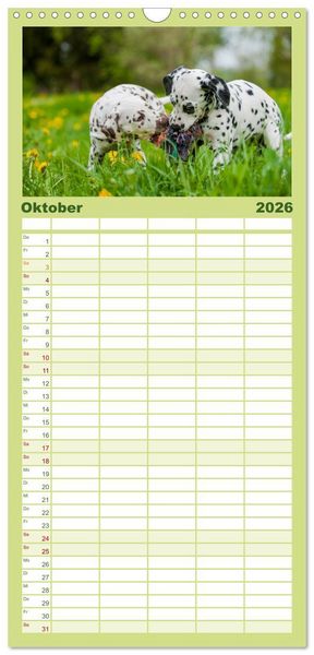 Produktbild: Familienplaner 2026 - Dalmatiner mit 5 Spalten (Wandkalender, 21 x 45 cm) CALVENDO