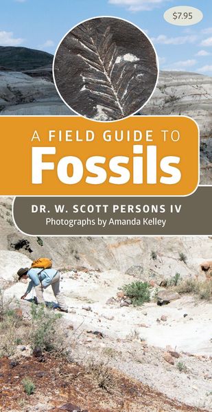 Produktbild: A Field Guide to Fossils