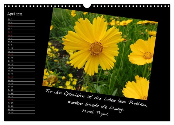 Produktbild: Gelbe Lebensfreude (Wandkalender 2026 DIN A3 quer), CALVENDO Monatskalender