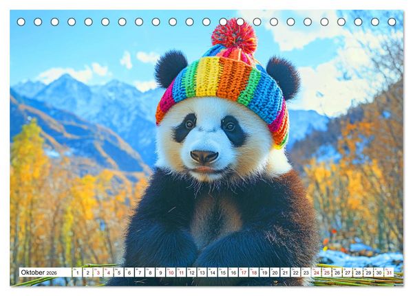 Produktbild: Strick-Pfoten - Flauschige Freunde in gestrickten Meisterwerken (Tischkalender 2026 DIN A5 quer), CALVENDO Monatskalender