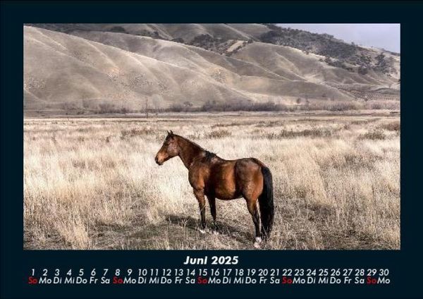 Produktbild: Die Welt der Pferde 2025 Fotokalender DIN A5