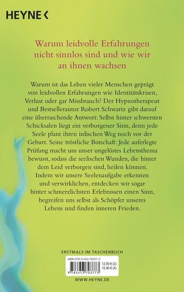 Produktbild: Die Mission der Seele