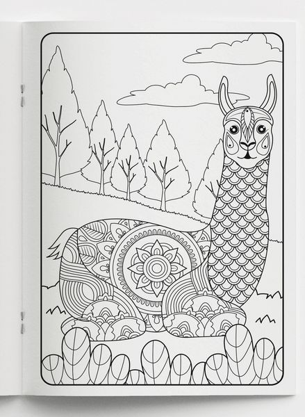 Produktbild: Mein Mandala Malbuch