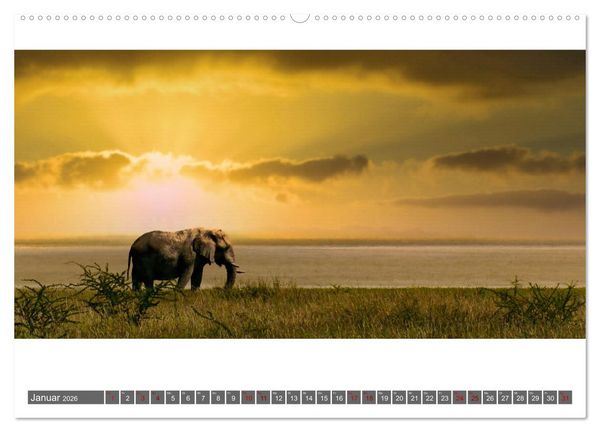 Produktbild: Namibia - Landschaft und Panorama (hochwertiger Premium Wandkalender 2026 DIN A2 quer), Kunstdruck in Hochglanz