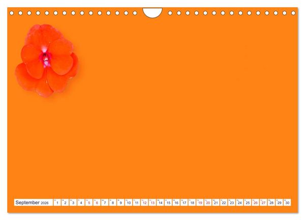 Produktbild: DIY POESIE - BASTELKALENDER (Wandkalender 2026 DIN A4 quer), CALVENDO Monatskalender