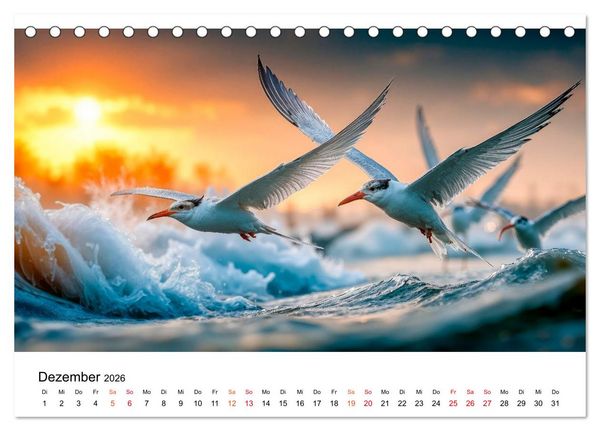 Produktbild: Seeschwalben - Meister der L&uuml;fte (Tischkalender 2026 DIN A5 quer), CALVENDO Monatskalender