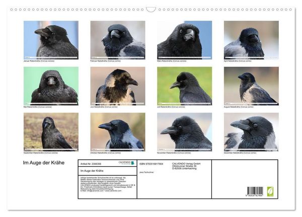 Produktbild: Im Auge der Kr&auml;he (Wandkalender 2027 DIN A2 quer), CALVENDO Monatskalender