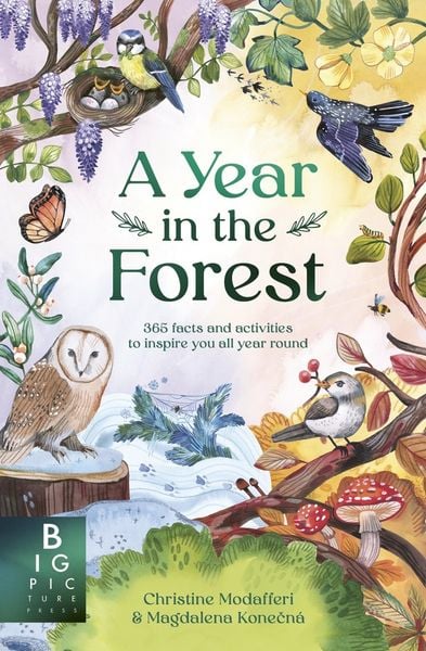 Produktbild: A Year in the Forest