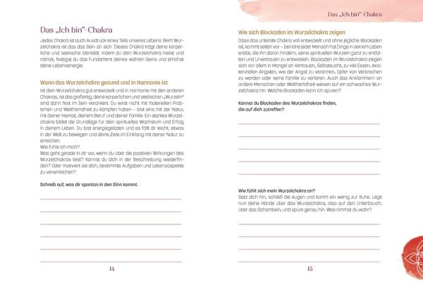 Produktbild: Das Chakra Workbook