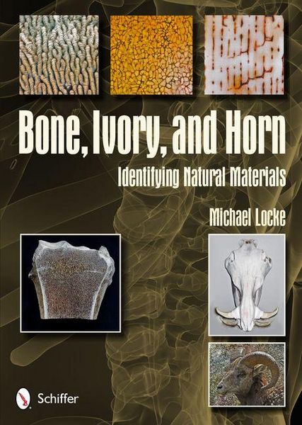 Produktbild: Bone, Ivory, and Horn