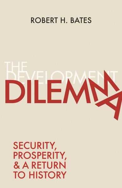 Produktbild: The Development Dilemma
