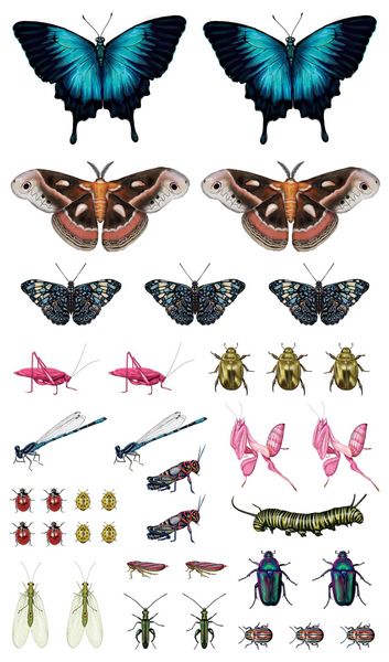 Produktbild: Fluttery, Friendly Tattoo Butterflies and Other Insects