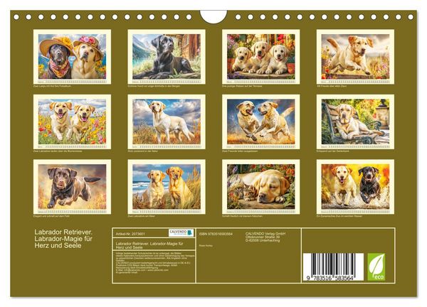 Produktbild: Labrador Retriever. Labrador-Magie f&uuml;r Herz und Seele (Wandkalender 2026 DIN A4 quer), CALVENDO Monatskalender