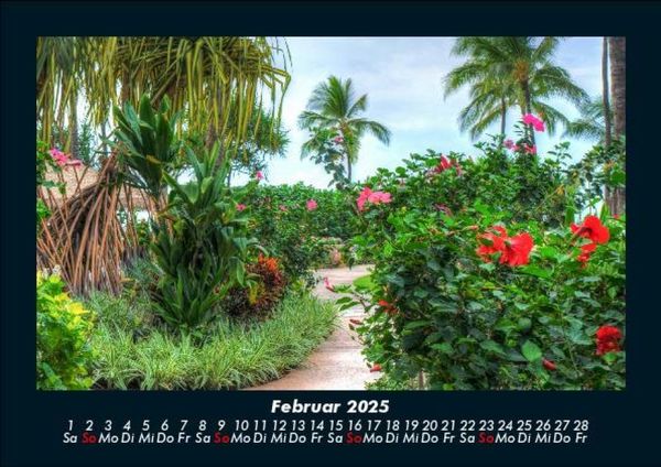 Produktbild: Pflanzen und Bl&uuml;ten 2025 Fotokalender DIN A5