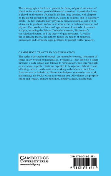 Produktbild: Attractors of Hamiltonian Nonlinear Partial Differential Equations