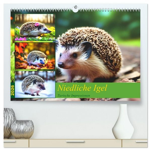 Produktbild: Niedliche Igel (hochwertiger Premium Wandkalender 2026 DIN A2 quer), Kunstdruck in Hochglanz
