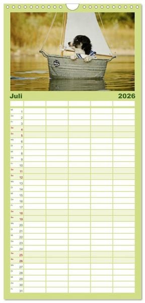 Produktbild: Familienplaner 2026 - Der Bordercollie-Kalender mit 5 Spalten (Wandkalender, 21 x 45 cm) CALVENDO