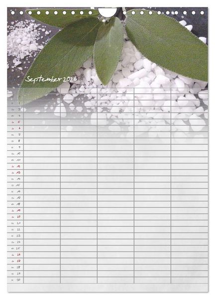 Produktbild: Familienplaner f&uuml;r die K&uuml;che. (Wandkalender 2026 DIN A4 hoch), CALVENDO Monatskalender