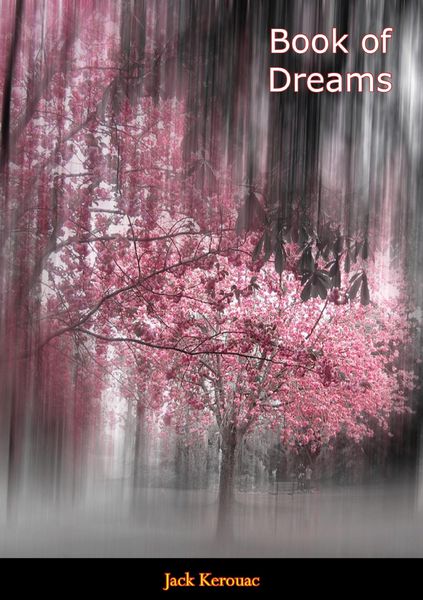 Produktbild: Book of Dreams