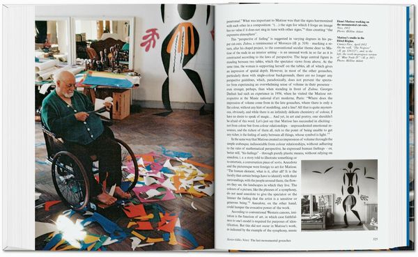 Produktbild: Matisse