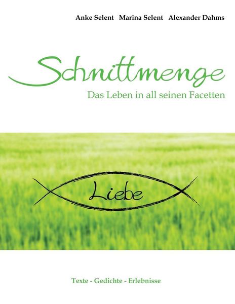 Produktbild: Schnittmenge Liebe