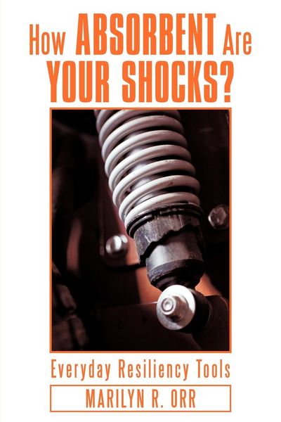 Produktbild: How Absorbent Are Your Shocks?