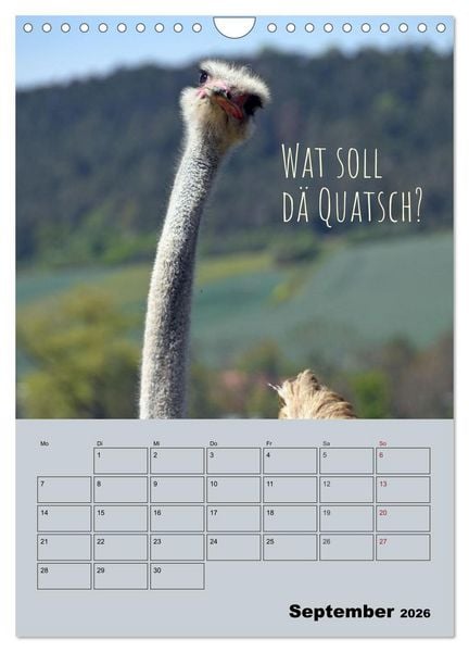 Produktbild: K&ouml;lsches Grundgesetz (Wandkalender 2026 DIN A4 hoch), CALVENDO Monatskalender