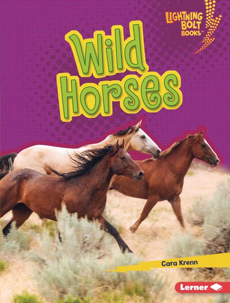 Produktbild: Wild Horses