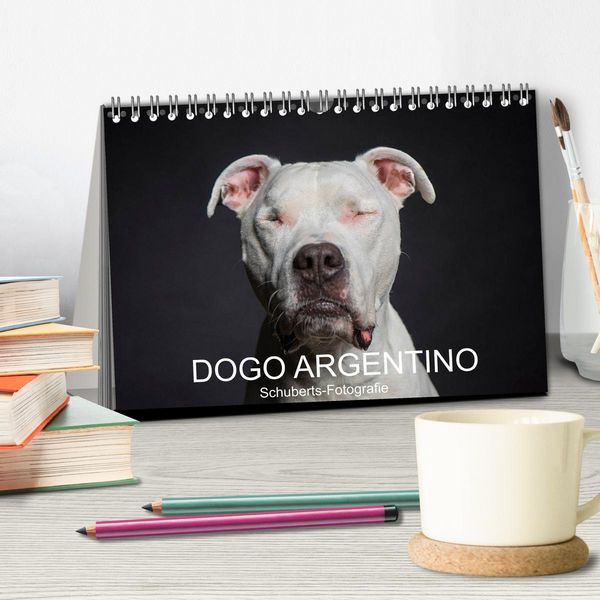 Produktbild: DOGO ARGENTINO (Tischkalender 2026 DIN A5 quer), CALVENDO Monatskalender