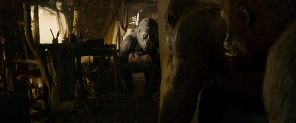 The Legend of Tarzan 3D Blu-ray