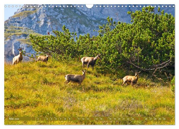 Produktbild: Waidmannsheil und Waidmannsdank (Wandkalender 2026 DIN A3 quer), CALVENDO Monatskalender