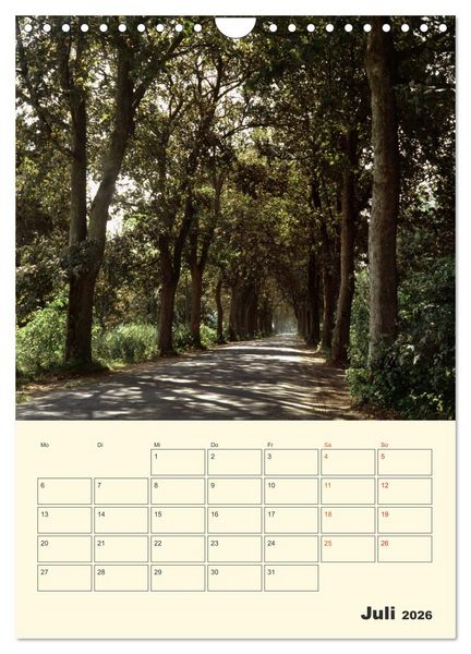 Produktbild: Usedom (Wandkalender 2026 DIN A4 hoch), CALVENDO Monatskalender