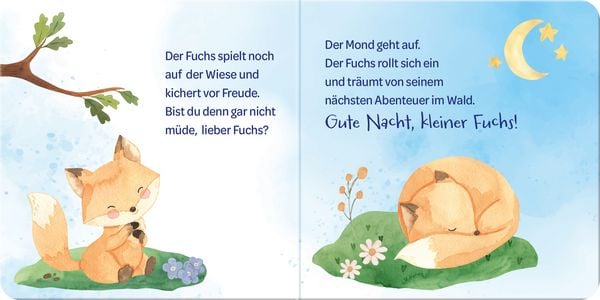 Produktbild: Ich sag Gute Nacht ...