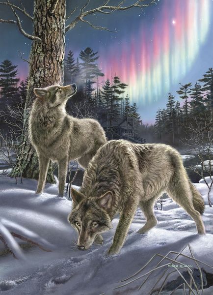 Produktbild: COBBLE HILL PUZZLES - Nordlichter 500 Teile
