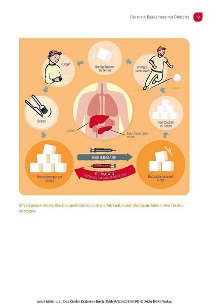 Produktbild: Das Kinder-Diabetes-Buch