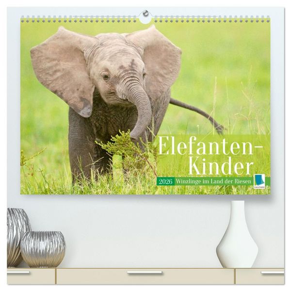 Produktbild: Elefanten Kinder: Winzlinge im Land der Riesen (hochwertiger Premium Wandkalender 2026 DIN A2 quer), Kunstdruck in Hochglanz