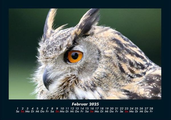 Produktbild: V&ouml;gel 2025 Fotokalender DIN A4